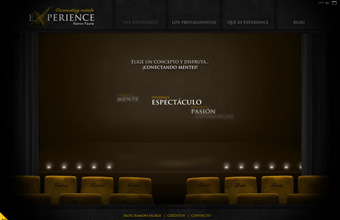 Experience
