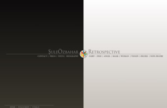 ŞuleÖzbaharRetrospective
