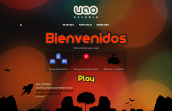 VAO | ESTUDIO 2010