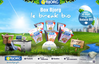 BOX-BJORG
