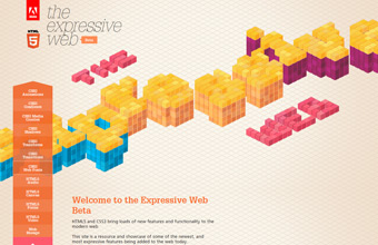 The Expressive Web