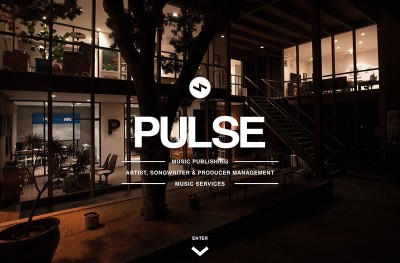 Pulse Recordings