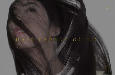 Hair Expert Guild