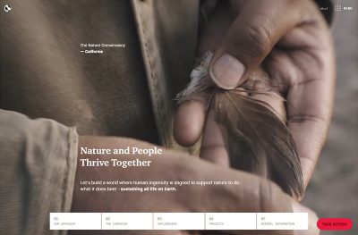 The Nature Conservancy