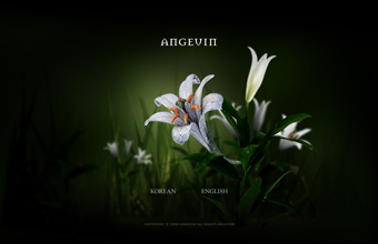 Angevin